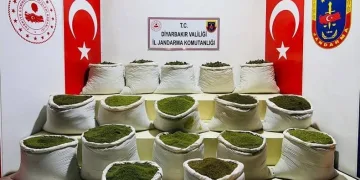 Diyarbakır’da 1 ton 354 kilo esrar, 122 bin uyuşturucu bitkisi ele geçirildi