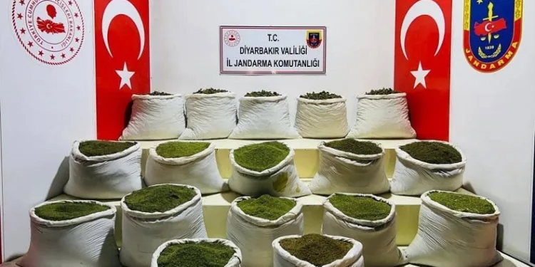 Diyarbakır’da 1 ton 354 kilo esrar, 122 bin uyuşturucu bitkisi ele geçirildi