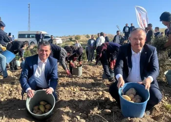 Nevşehir’de patates hasadı başladı