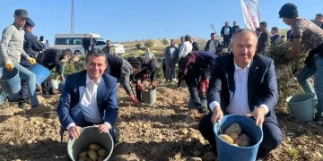 Nevşehir’de patates hasadı başladı