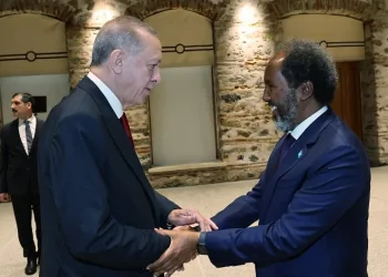 Cumhurbaşkanı Erdoğan, Somali Cumhurbaşkanı ile Gazze’yi konuştu