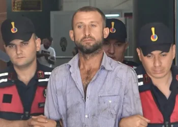 Bursa’da ormanı yaktığı için tutuklanmıştı, tahliye edildi