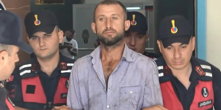 Bursa’da ormanı yaktığı için tutuklanmıştı, tahliye edildi