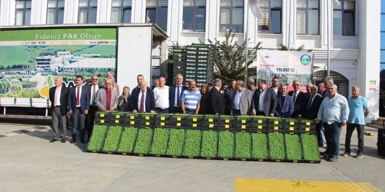 Çiftçilere 595 bin kıvırcık fidesi dağıtıldı
