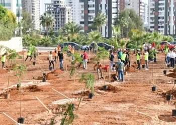Yenişehir’de yeşil alan miktarı artıyor