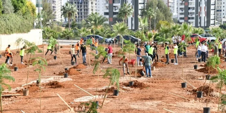 Yenişehir’de yeşil alan miktarı artıyor