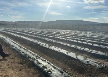 Hükümlülere üretim desteği