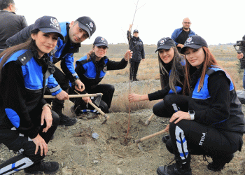 100. yılda 100 fidan dikildi