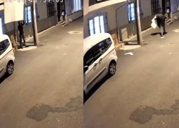 Balkona asılı halıyı böyle çaldı
