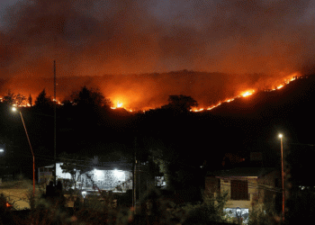 Arjantin’de orman yangını
