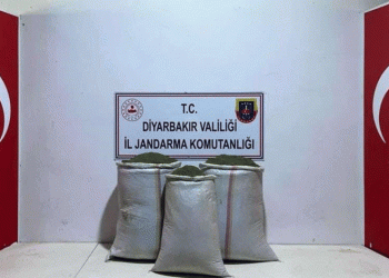97 kilo toz esrar ele geçirildi