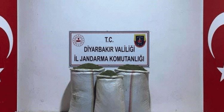 97 kilo toz esrar ele geçirildi