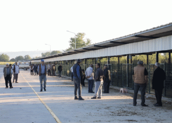 İnegöl hayvan pazarı şap riskinden kapatıldı