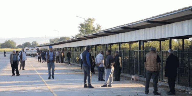 İnegöl hayvan pazarı şap riskinden kapatıldı
