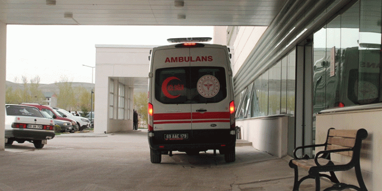 Kız kardeşine kıydı, eniştesini yaraladı