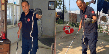 Hatay’da bir eve yılan girdi
