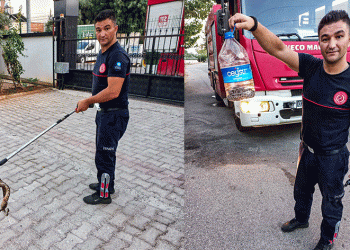 Otomobile giren yılanı itfaiye çıkardı