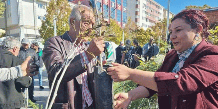 Cumhuriyetin 100. yılı anısına fidan dağıtıldı