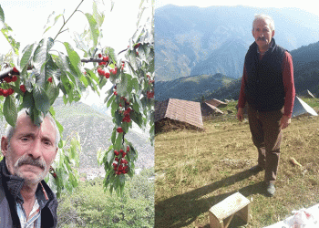 Odun yaparken hayatını kaybetti
