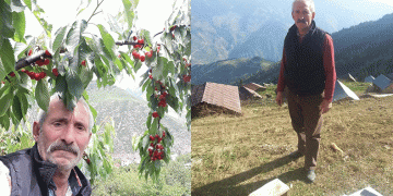 Odun yaparken hayatını kaybetti