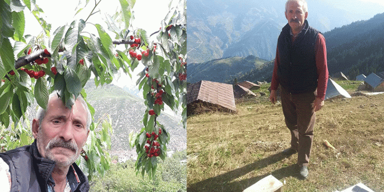 Odun yaparken hayatını kaybetti