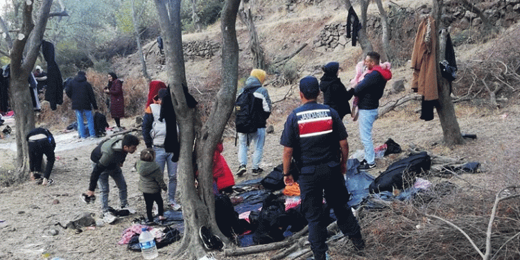 Ayvacık’ta kaçak göçmen operasyonu