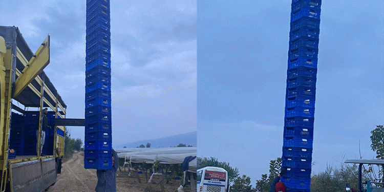 Kasa Herkül’ü iş başında