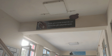Okula yuva yapan kırlangıçlar göç etti