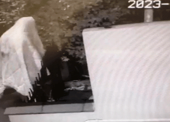 Polis “hayalet hırsız”ı yakaladı