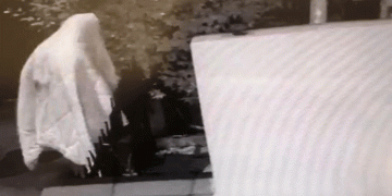 Polis “hayalet hırsız”ı yakaladı