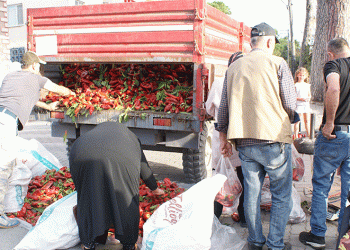 Vatandaşlar ucuz biber için kapıştı