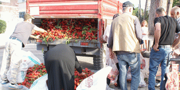 Vatandaşlar ucuz biber için kapıştı
