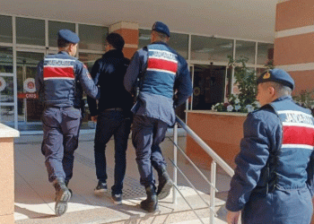 Jandarmadan, aranan şahıslara operasyon