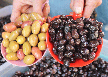 Hangi zeytin tercih edilmeli?
