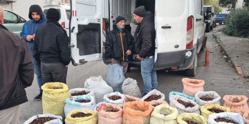 Kestane için pazarda borsa kurdular