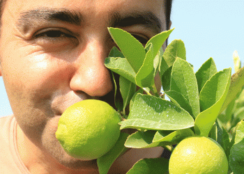 Bu limonun fiyatı: 40 TL