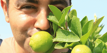 Bu limonun fiyatı: 40 TL