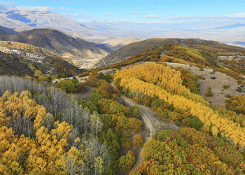 Erzincan’da hazan mevsimi güzelliği