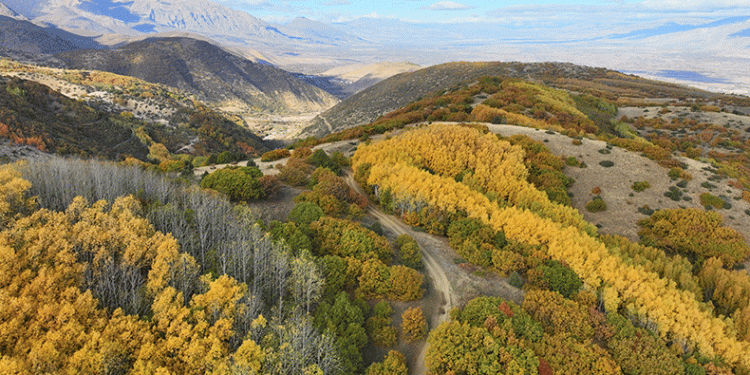 Erzincan’da hazan mevsimi güzelliği