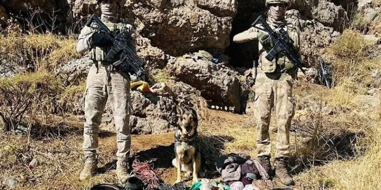 Hakkari’de terör operasyonu