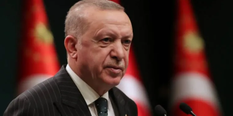 Erdoğan’dan 100. yıl çağrısı: Yer gök bayrak olsun