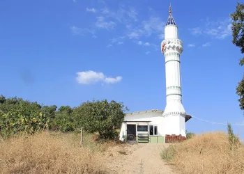 Bu cami Karadeniz’de değil Aydın’da