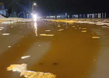 Kastamonu’da deniz kara ile birleşti