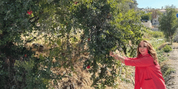Sağlıklı yaşamın sırrı ‘Nar’