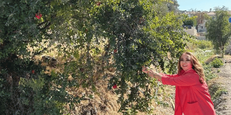 Sağlıklı yaşamın sırrı ‘Nar’