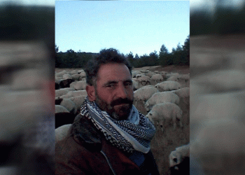 Diyarbakır’da yıldırımın çarptığı çoban hayatını kaybetti