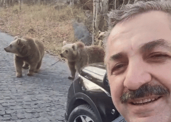 Erzurumlu esnaftan ayılarla özçekim
