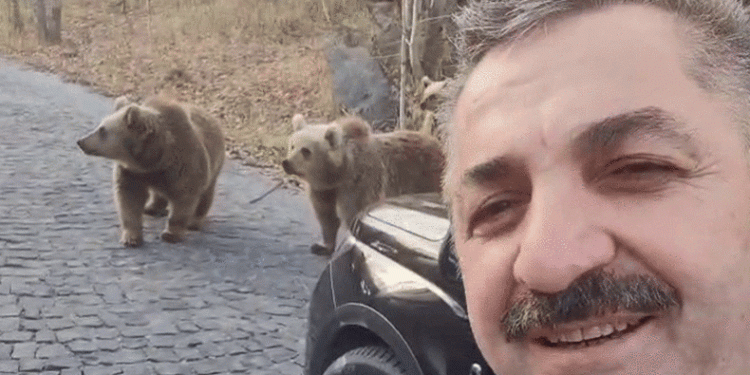 Erzurumlu esnaftan ayılarla özçekim