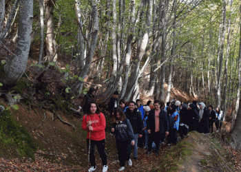 Yıldırım’da gençler doğa için yürüdü
