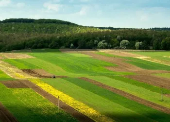 KDV’den muaf arsa satışı başlayacak